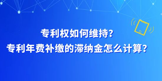 專利權(quán)如何維持？專利年費補繳的滯納金怎么計算？